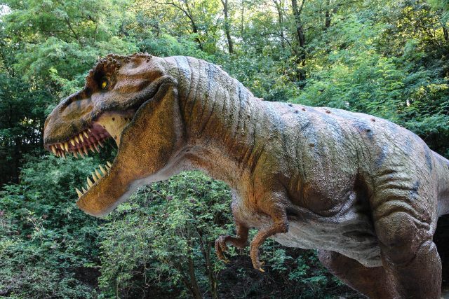 Tyrannosaurus Rex | foto: Fotobanka Pixabay,  Pixabay