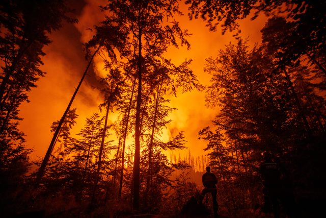 Noční záběry požáru v Hřensku | foto: Hasičský záchranný sbor ČR