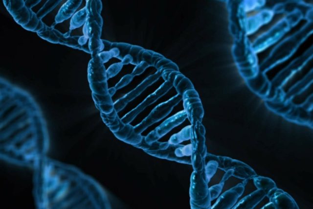 Šroubovice DNA | foto: Pixabay