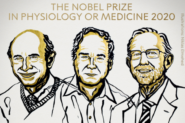 Držitelé Nobelovy cena za fyziologii a lékařství za rok 2020 | foto: Niklas Elmehed,  NobelPrize.org