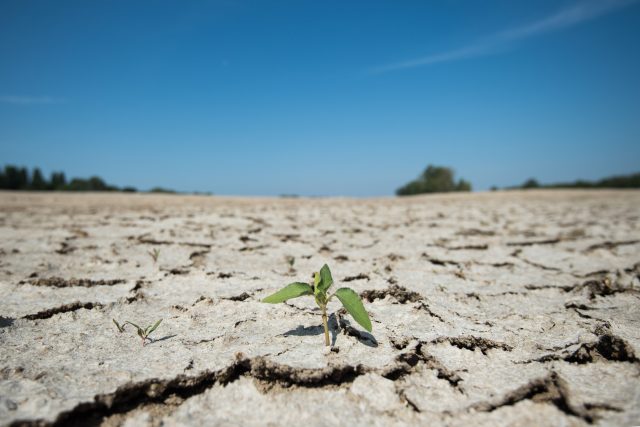 Změny klimatu | foto: Profimedia