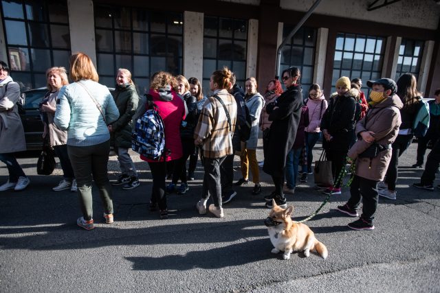 Ukrajinští uprchlíci čekají před dislokovanou pobočkou úřadu práce v Pražské tržnici v Holešovicích. | foto: René Volfík,  iROZHLAS.cz