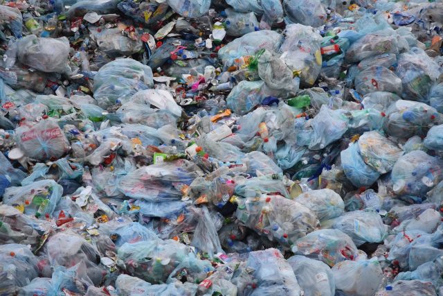 Plastový odpad  (ilustrační foto) | foto: Ben Kerckx,  Pixabay