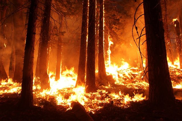 Lesní požár  (ilustrační foto) | foto: Fotobanka Pixabay