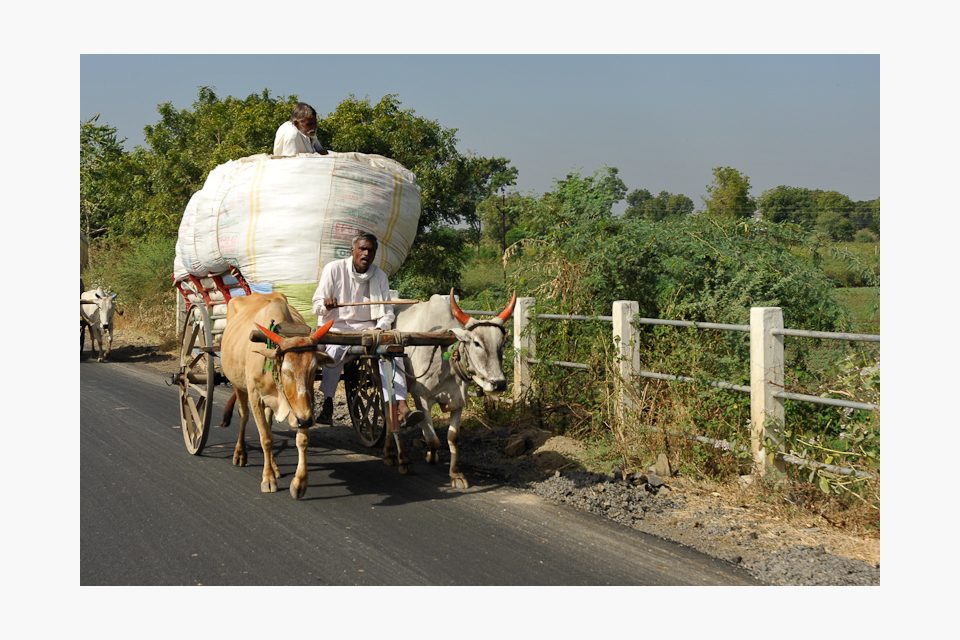 Indie prosinec 2008 | foto: Khalil Baalbaki,  Český rozhlas