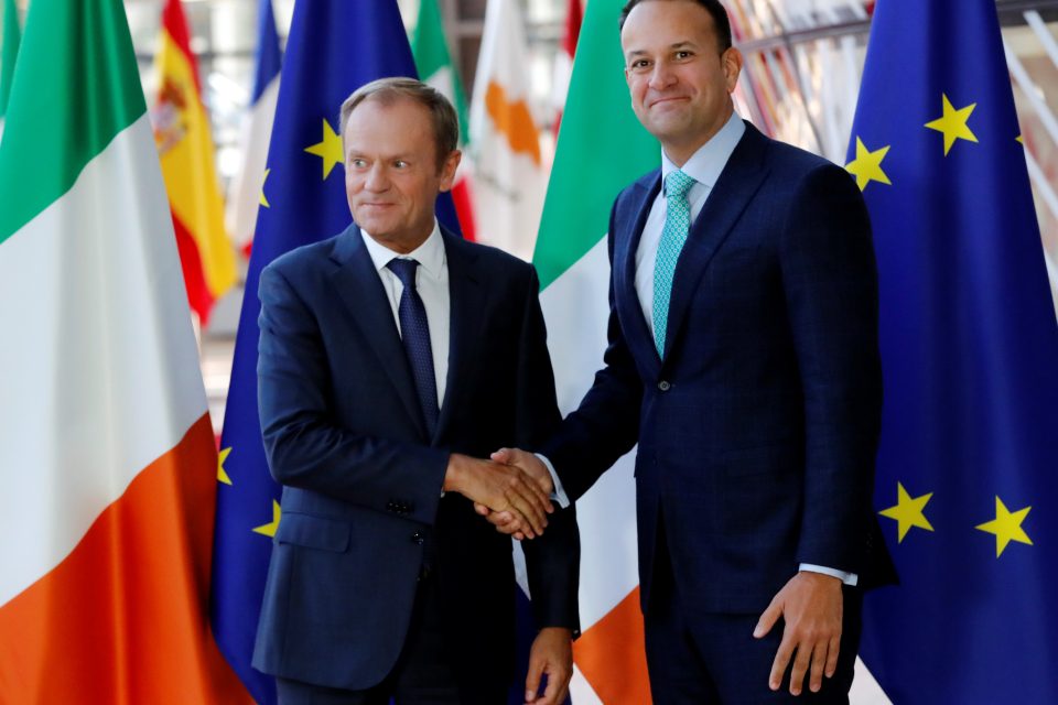 Předseda Evropské rady Donald Tusk  (vlevo) a irský premiér Leo Varadkar | foto: Yves Herman,  Reuters