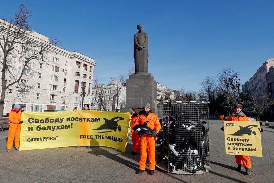 Protest ochránců přírody z Greenpeace proti ruským vězením pro velryby v Moskvě  (únor 2019) | foto: Shamil Zhumatov,  Reuters