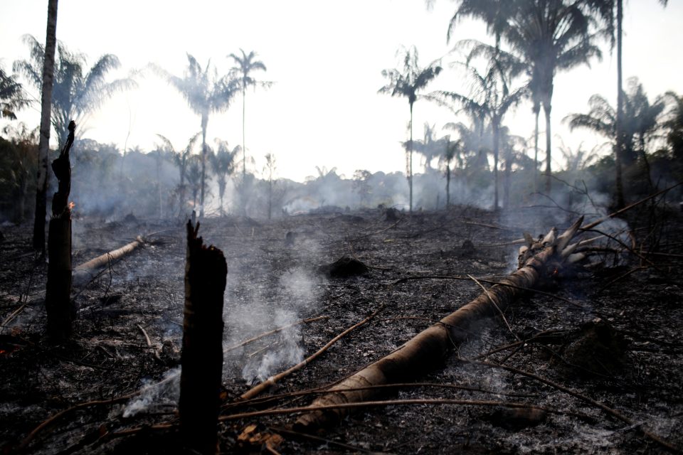 Amazonský prales mizí rekordním tempem - skoro dvakrát rychleji než loni. Podle brazilské agentury pro vesmírný výzkum to dokazují satelitní snímky | foto: Bruno Kelly,  Reuters