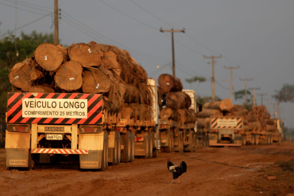 Vypalování lesa v Amazonii za účelem získání zemědělské půdy je výnosným obchodem organizovaného zločinu,  za tisíc hektarů se na černém trhu platí asi milion brazilských realů  (zhruba 5, 6 milionu korun) | foto: Ricardo Moraes,  Reuters