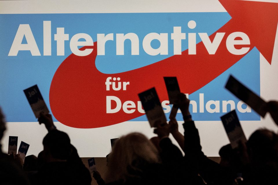 Alternativa pro Německo | foto: Profimedia