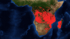 Srovnání požárů Amazonského pralesa a afrických tropických deštných lesů - satelitní snímek