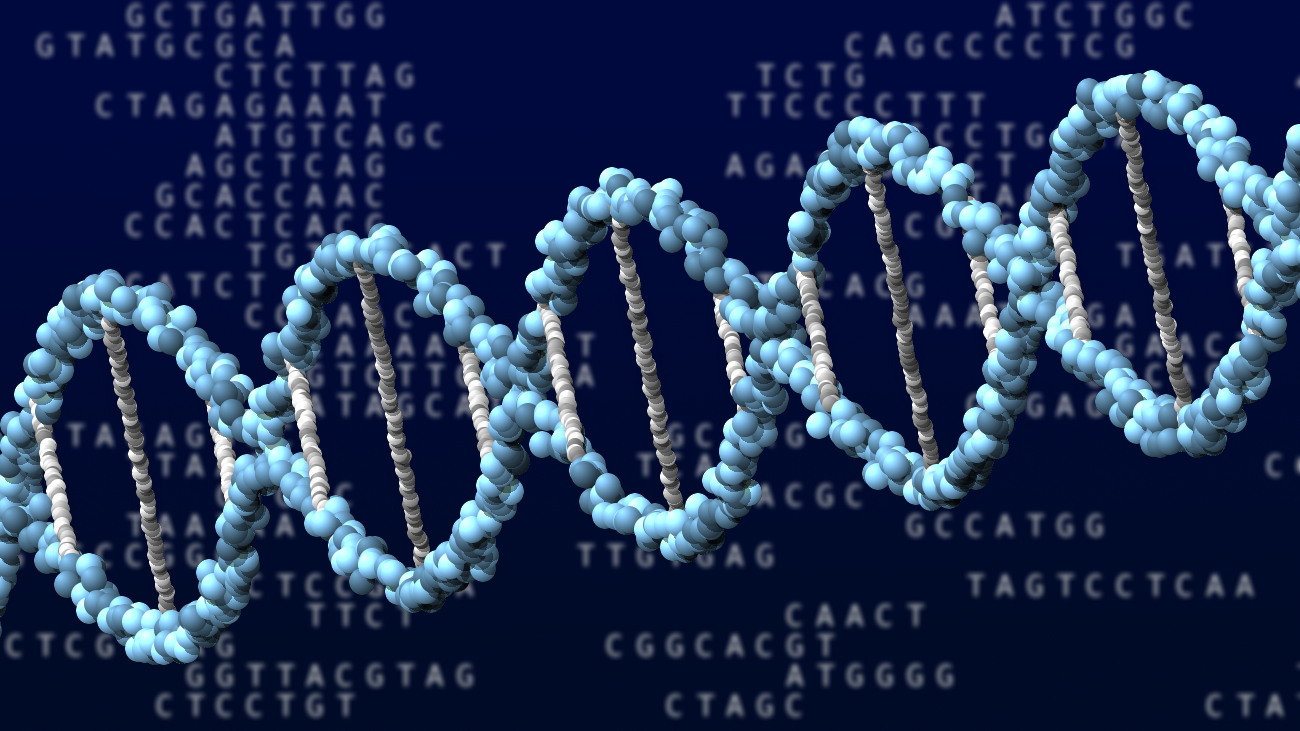 DNA (ilustrační foto)