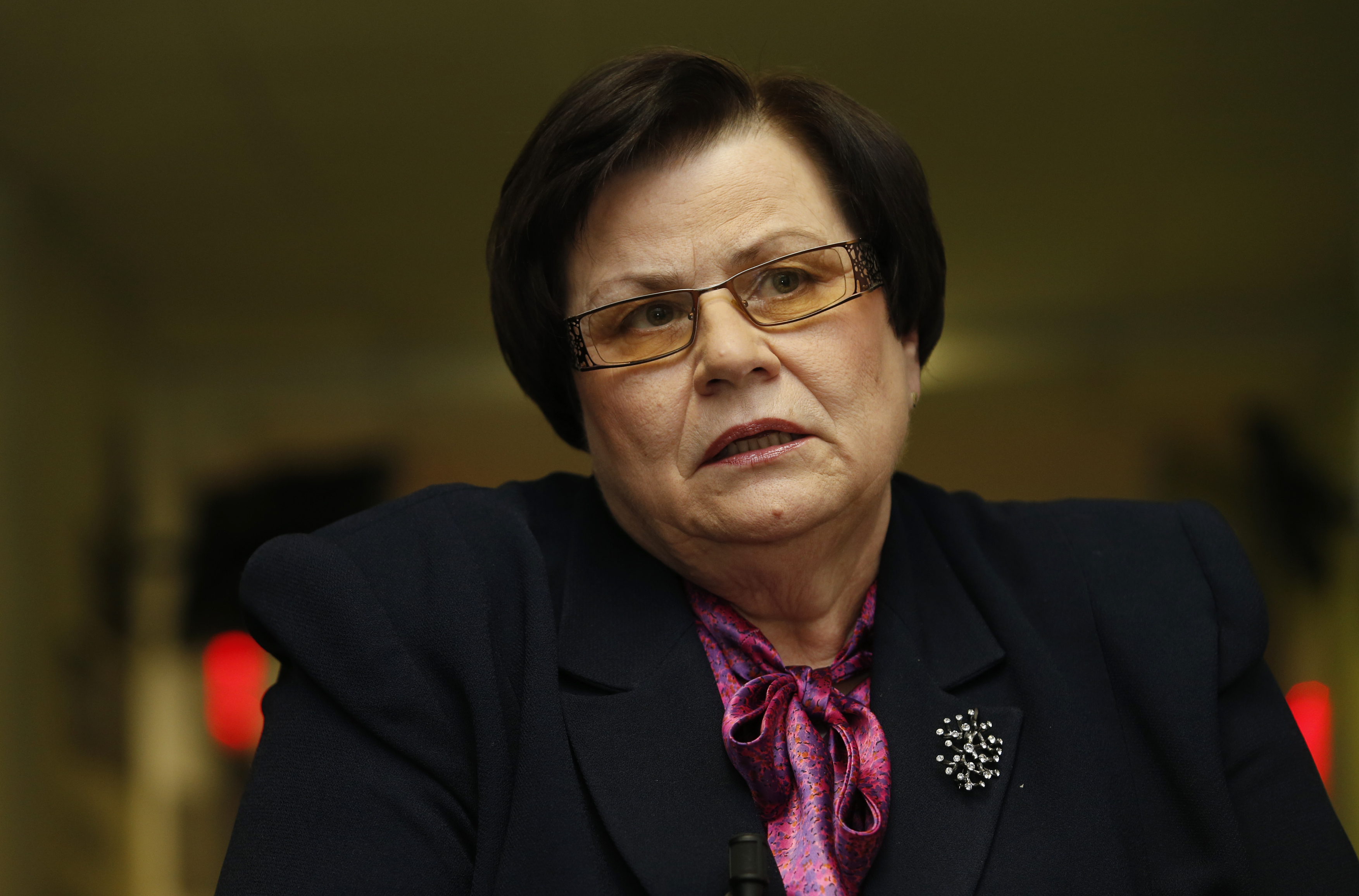 Marie Benešová leden 2014